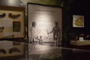 From Maps to Mermaids: Carved Powder Horns in Early America - Heinz History  Center